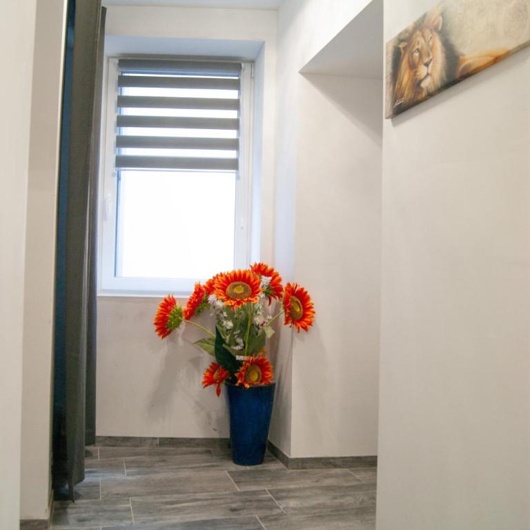 Haus Renè - Apartment - 12