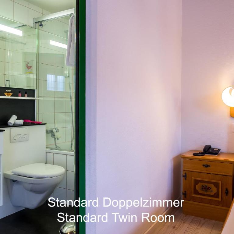 Hotel Hirschen - Grindelwald - Standard Doppelzimmer - 5