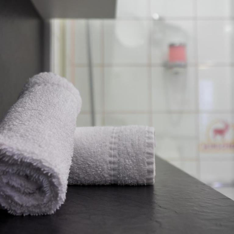 Hotel Hirschen - Grindelwald - Standard Doppelzimmer - 4