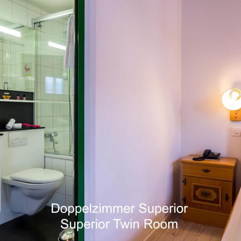 Hotel Hirschen - Grindelwald - Superior Doppelzimmer mit Balkon und Bergblick - 8