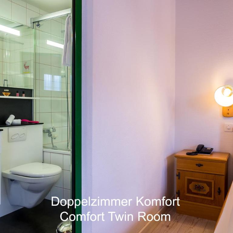 Hotel Hirschen - Grindelwald - Comfort Doppelzimmer mit Balkon und Bergblick - 10