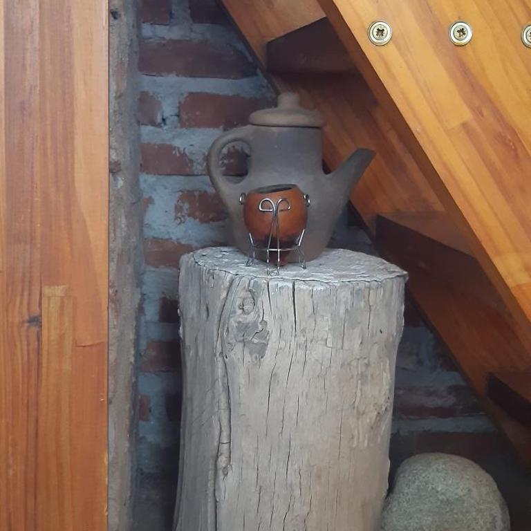 Cabañas "Los Elementos", San Carlos, Salta, - Chalet de 1 dormitorio - 4