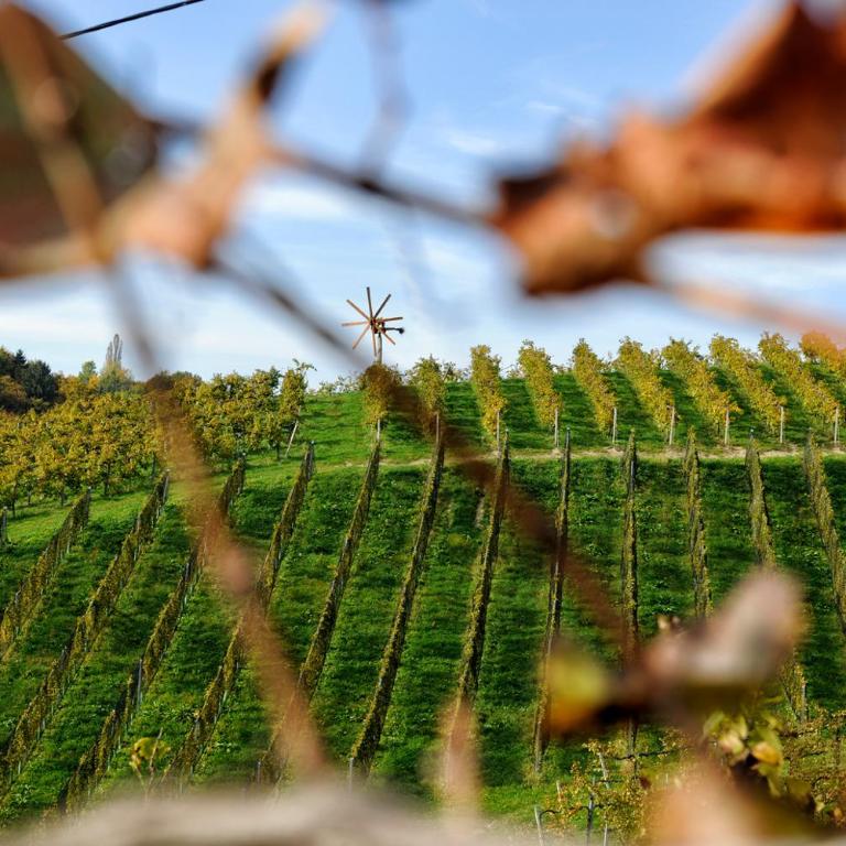 Weingut Zirngast - Camera Matrimoniale Deluxe con Balcone - 9