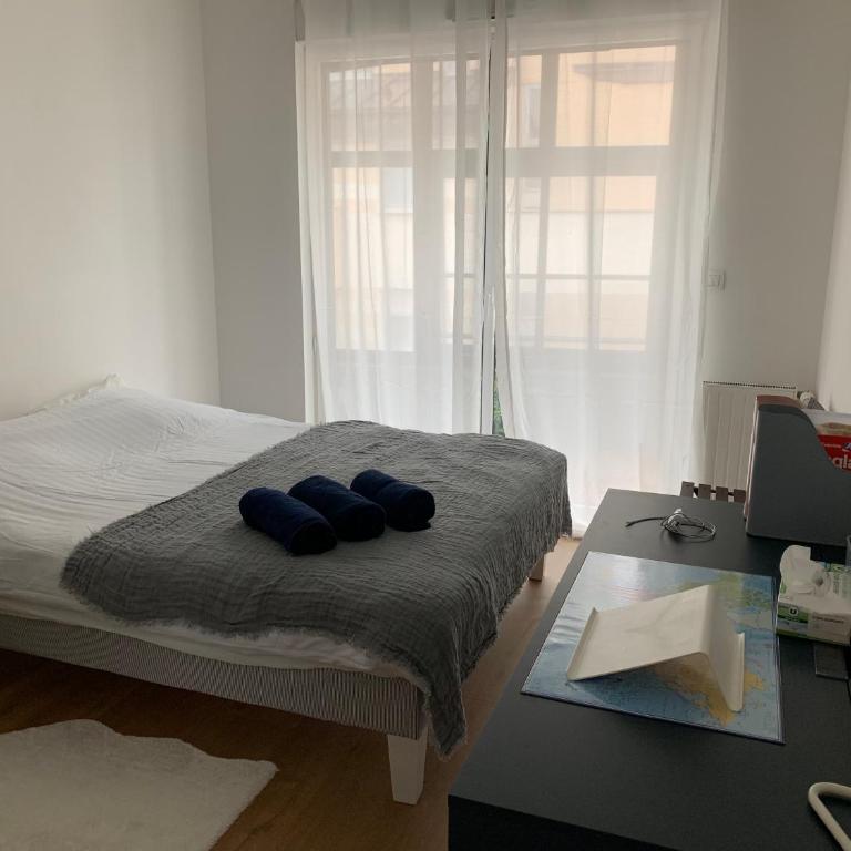 APPARTEMENT CENTRE VILLE AVEC TERRASSE ET PARKING SECURISE - One-Bedroom Apartment - 6