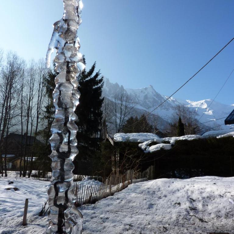 Chalet Les Lupins - Chalet 2 Chambres - 17