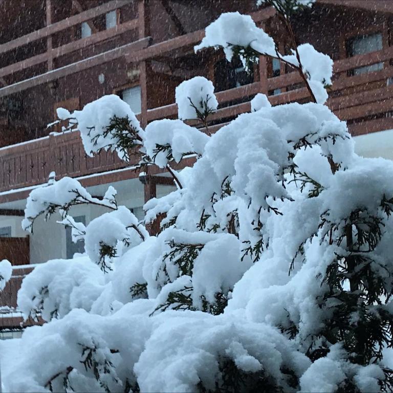 Le Hameau des Neiges - Appartement 1 Chambre - 38