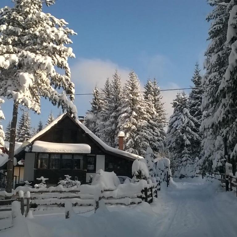 Planinska kuća MAK - Two-Bedroom Chalet - 1