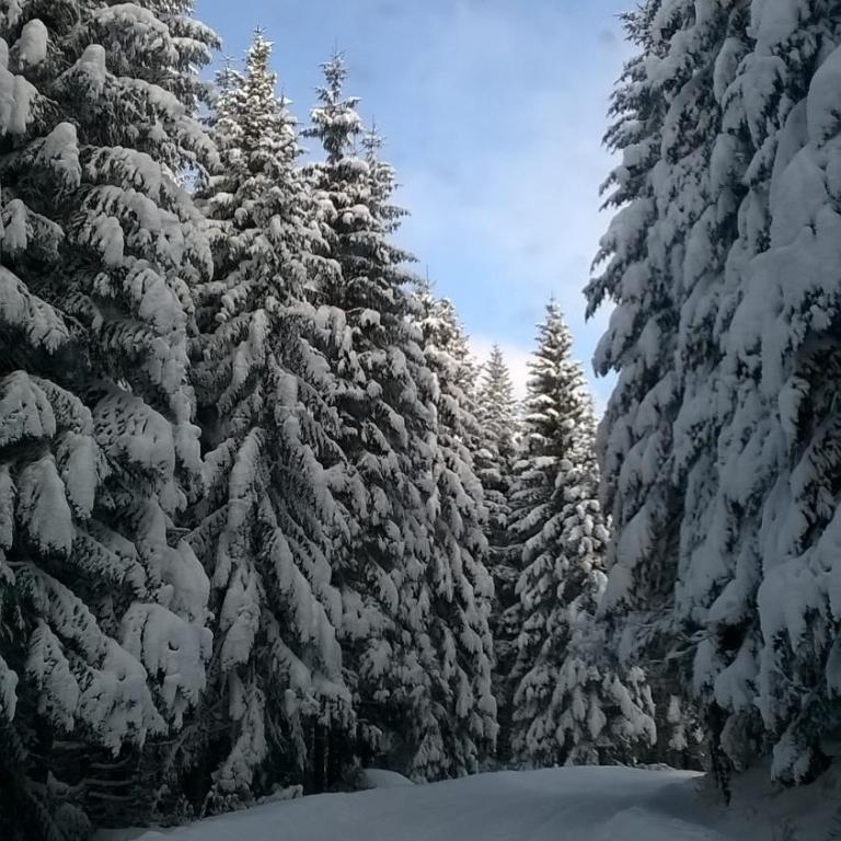 Planinska kuća MAK - Two-Bedroom Chalet - 2