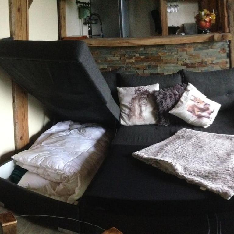 Le MAZOT chalet Lucie - Appartamento con 1 Camera da Letto - 17