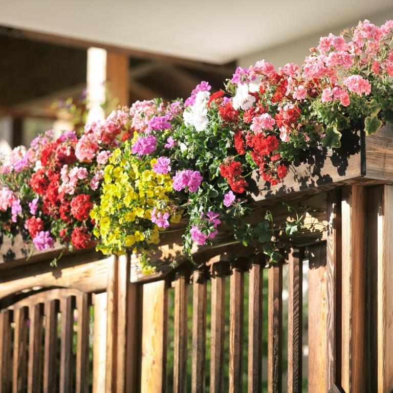 Lehrnerhof Lüsen Familienurlaub auf dem Bauernhof bei Brixen ruhig und authentisch - Appartamento - 7