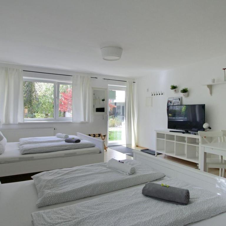 Innsbruck Apartment Nigler - Appartamento Monolocale con Vista Montagna - 1