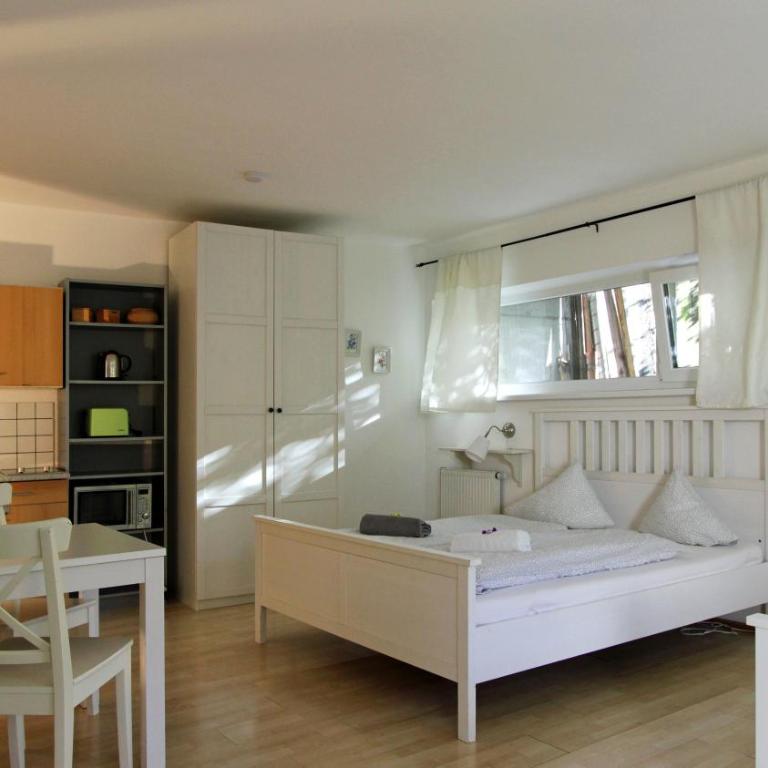 Innsbruck Apartment Nigler - Appartamento Monolocale con Vista Montagna - 4