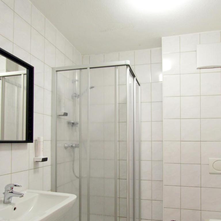 Innsbruck Apartment Nigler - Appartamento Monolocale im Garten - 1
