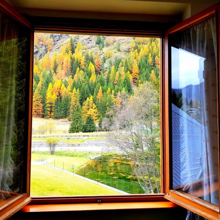 Monterosa Apartment - Champoluc #Bluchalet - Appartamento - 1