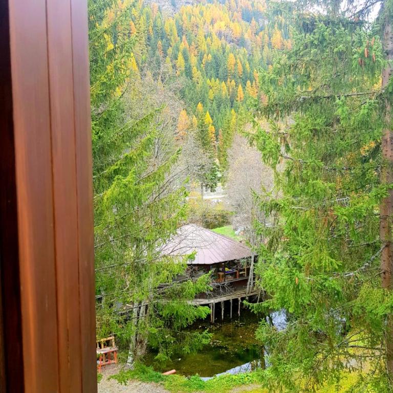 Monterosa Apartment - Champoluc #Bluchalet - Appartamento - 15