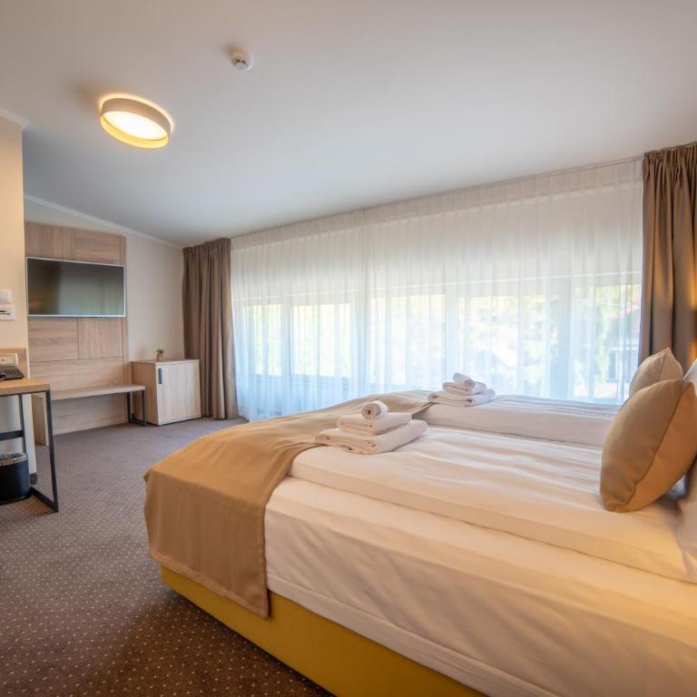 Hotel Soni Lux - Standardna Dvokrevetna Soba sa Bračnim Krevetom - 7