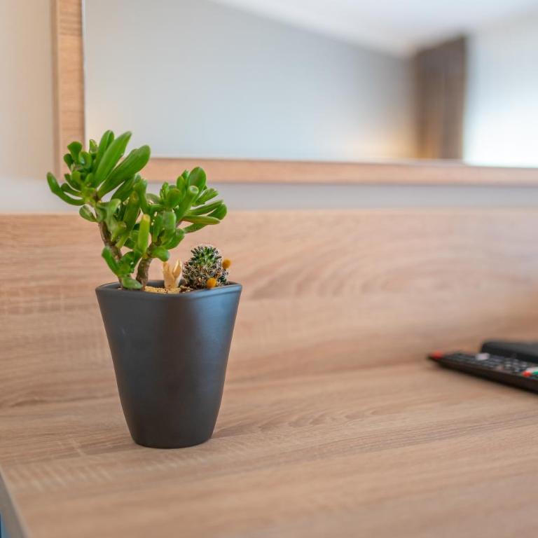 Hotel Soni Lux - Standardna Dvokrevetna Soba sa Bračnim Krevetom - 8