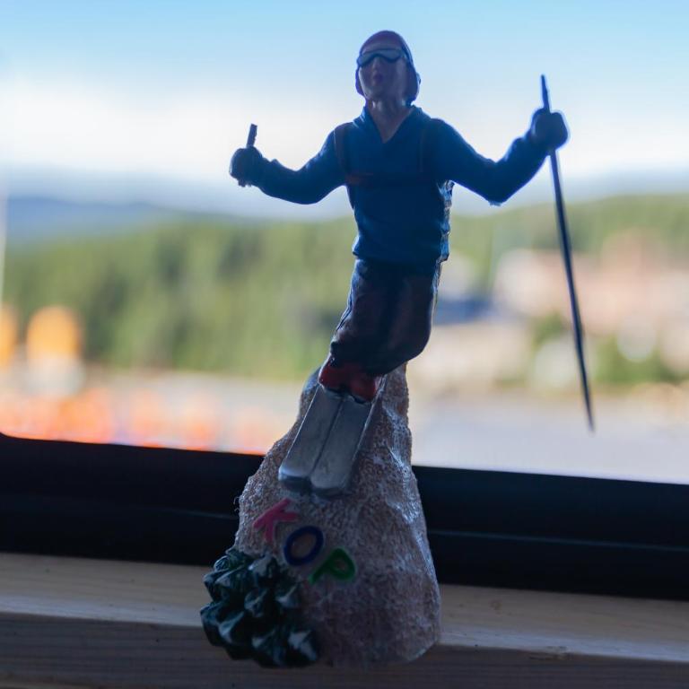 Top Lux Zupa - Apartman sa 1 Spavaćom Sobom - 6