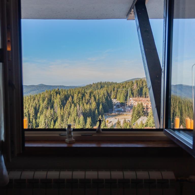 Top Lux Zupa - One-Bedroom Apartment - 2