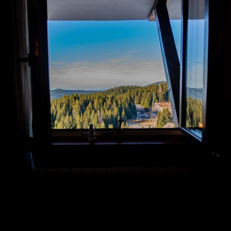 Top Lux Zupa - One-Bedroom Apartment - 1