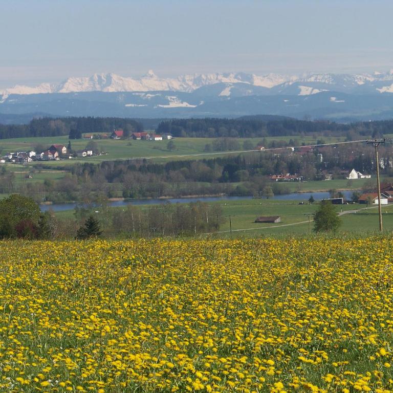 Ferienhaus Brunnenweiher - Haus mit 3 Schlafzimmern - 5