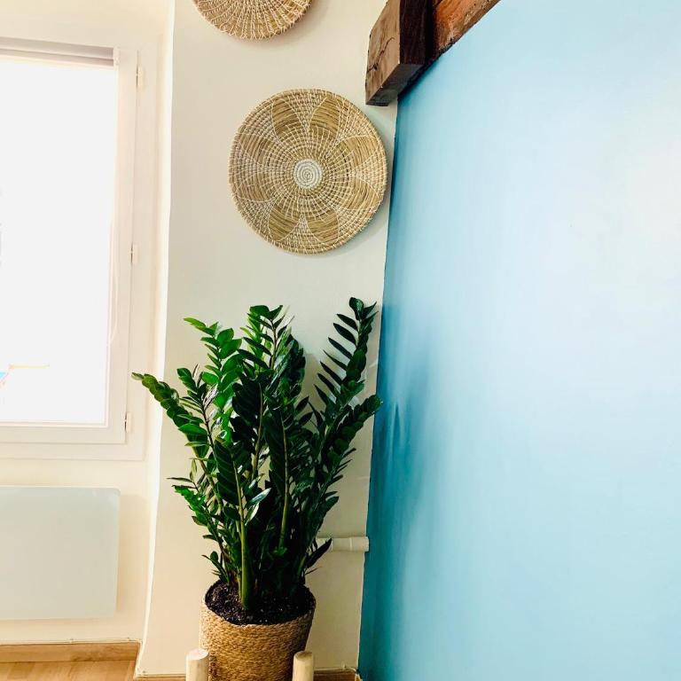 Le Loft Massalia - Apartamento de 1 dormitorio - 15
