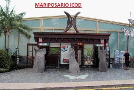 APARTAMENTO VISTAS DE ICOD - Apartamento Superior - 25