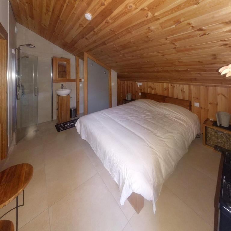Chalet Les Cols - Chambres avec terrasse & jardin - proche de la nouvelle gare - Chambre Double Standard - 13