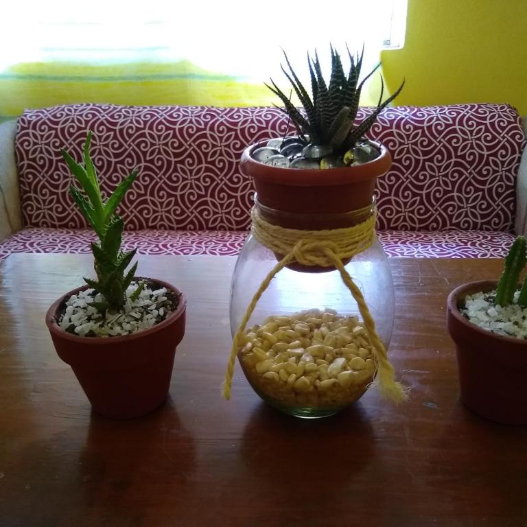 Departamento Valentina - Apartment - 7