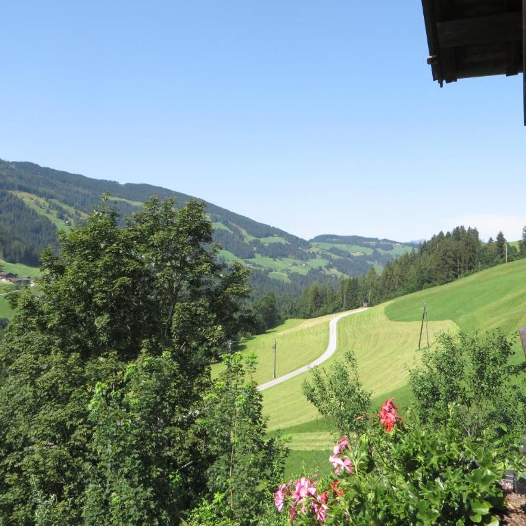 Haus Moosbrunn - Apartment - 9