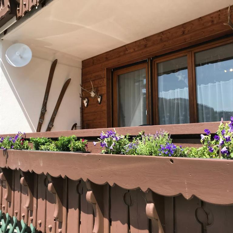 Almblick Ferienwohnung - Apartment mit Blick auf die Berge - 18