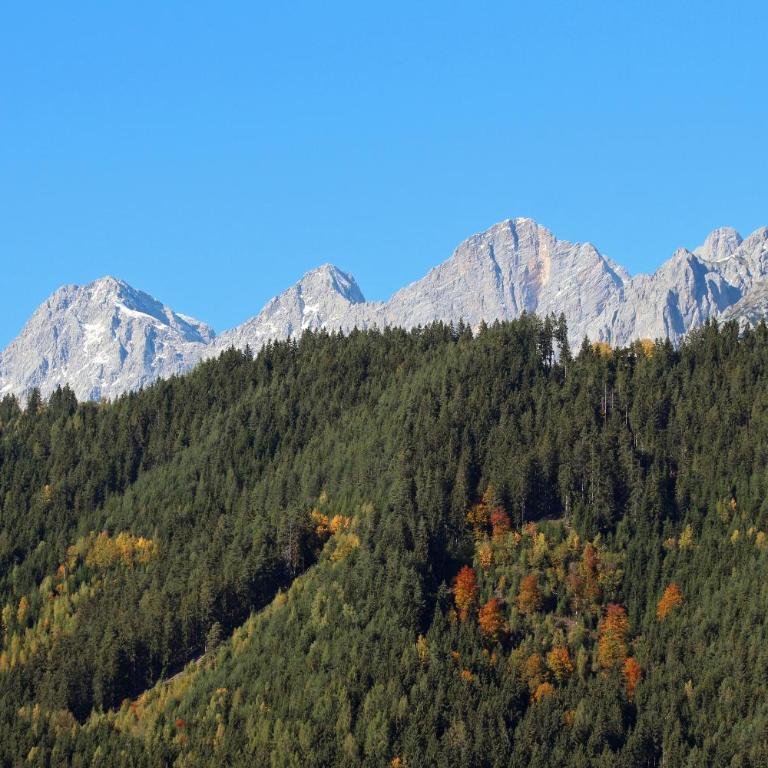 Appartement Ennst(h)aler by Schladming-Appartements - Apartment - 23