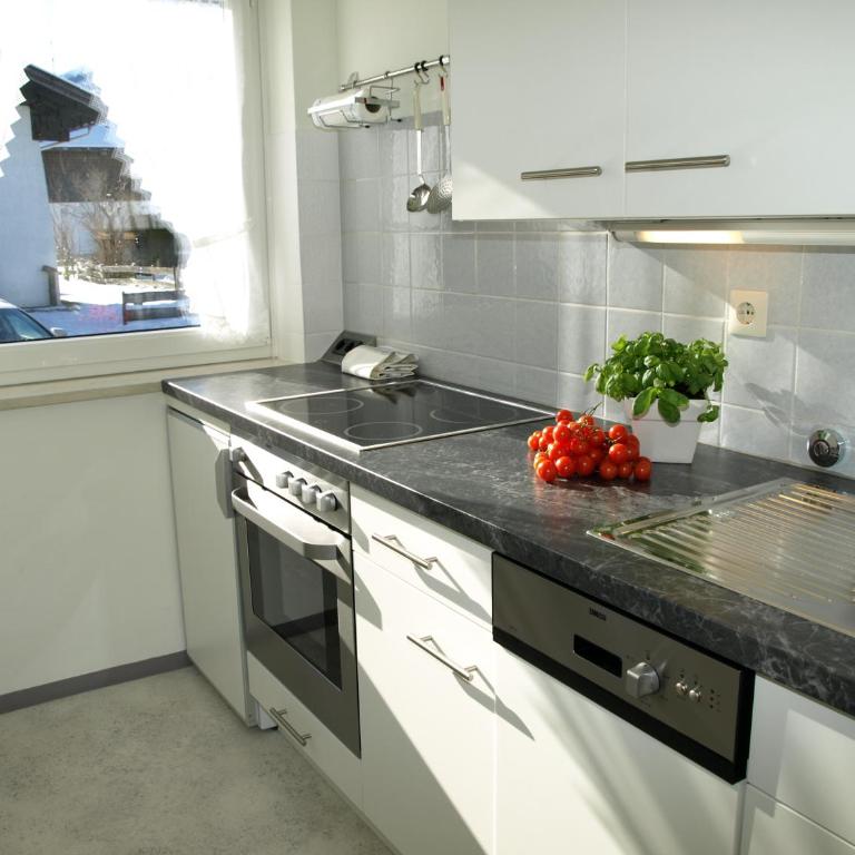Alpenflair Ferienwohnungen, Whg 225 Gipfelblick - Apartment mit 1 Schlafzimmer - 10