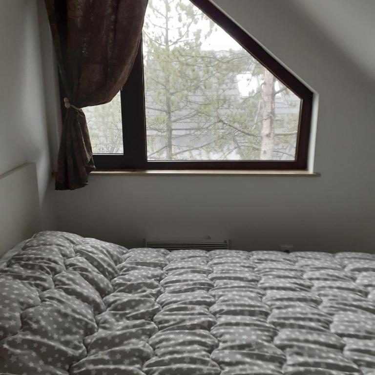 Apartman zlatibor - One-Bedroom Apartment - 18