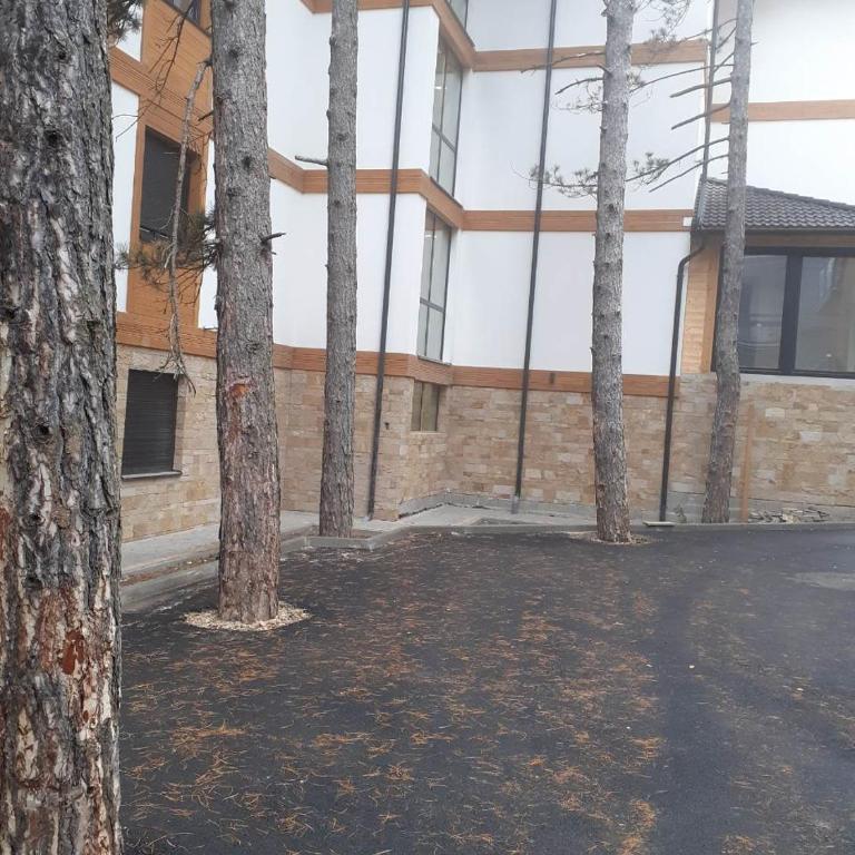 Apartman zlatibor - One-Bedroom Apartment - 21