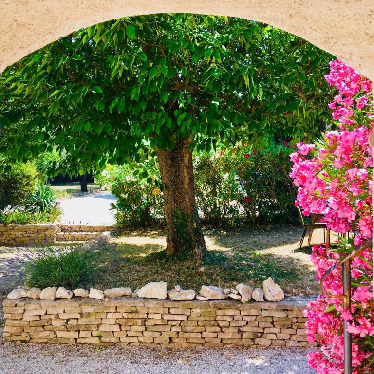 Domaine de Carraire - Studio - Vue sur Piscine - 1