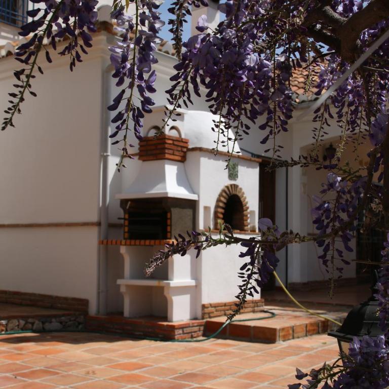 Finca el Regalo - Casa - 17