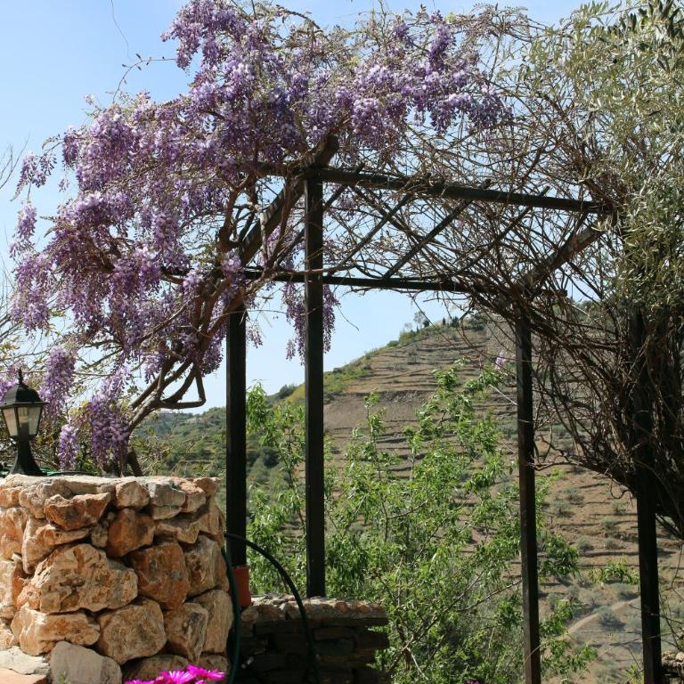 Finca el Regalo - Casa - 18