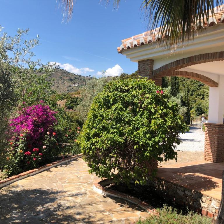 Finca el Regalo - Casa - 21
