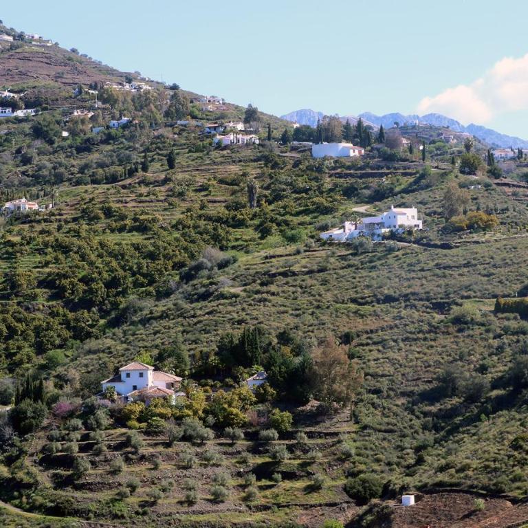 Finca el Regalo - Casa - 53