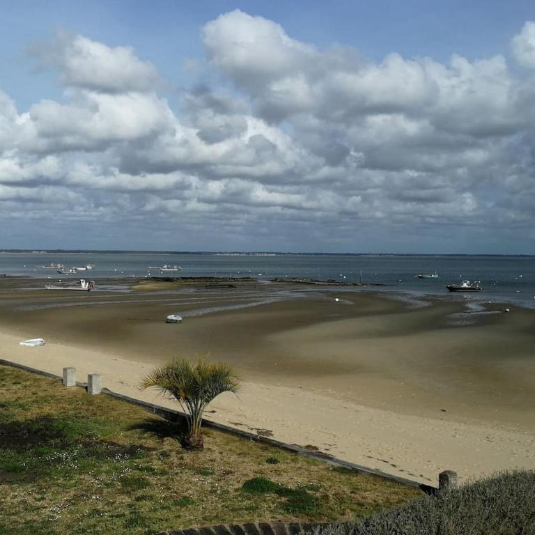 Entre dune et plage Les Jacquets Cap Ferret - Appartement 1 Chambre - 18