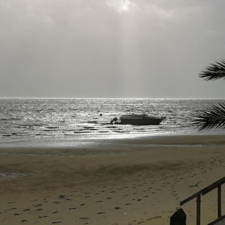 Entre dune et plage Les Jacquets Cap Ferret - Appartement 1 Chambre - 19