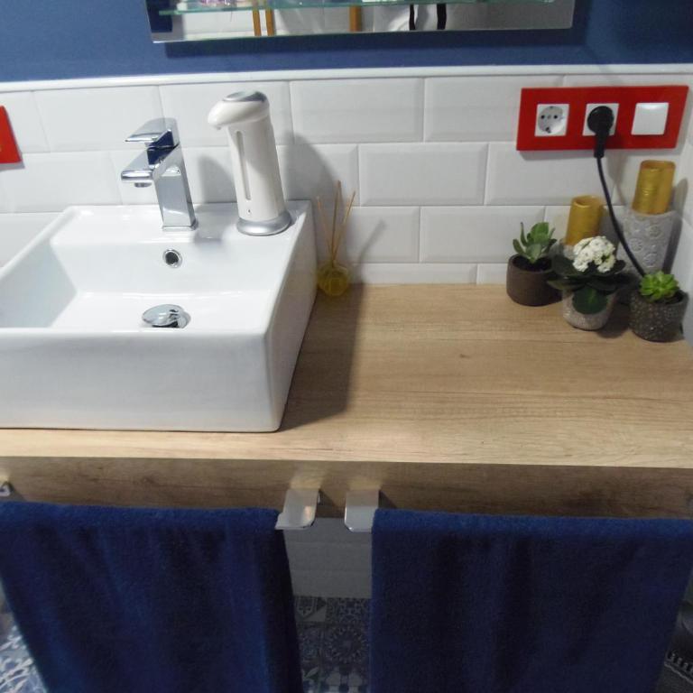 Apartamento en Triana - Apartamento - 26