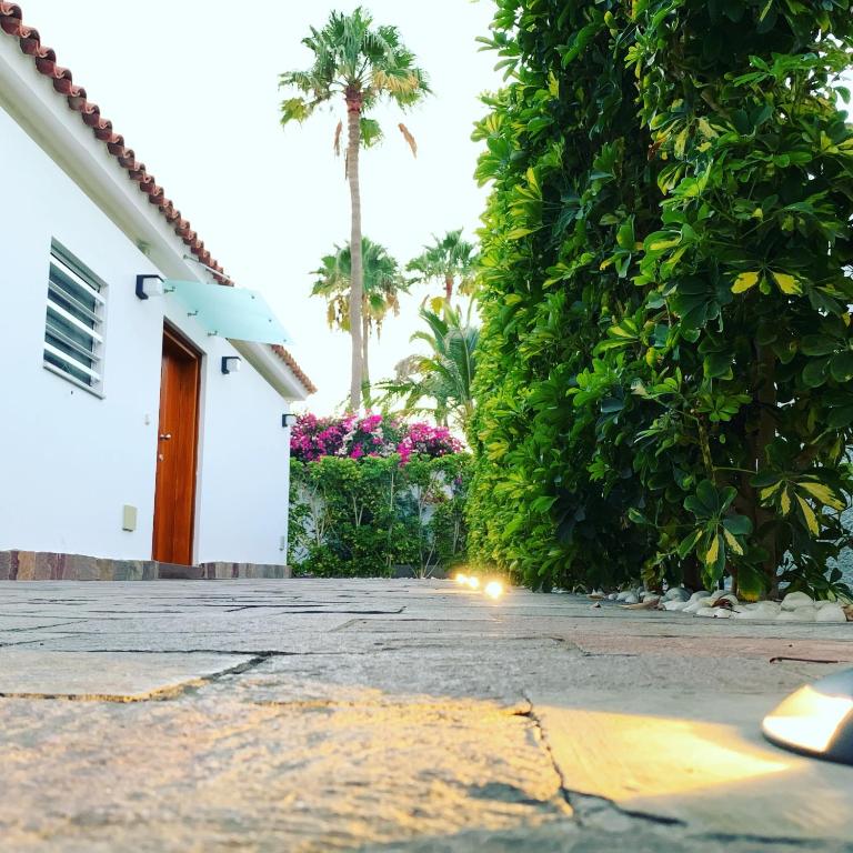 Villa Calma Luxury Villa - Villa Deluxe de 3 dormitorios - 54