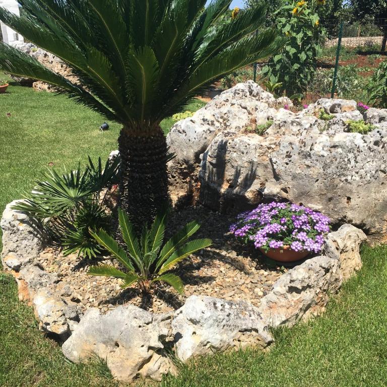 B&B Villa Grassi - Appartamento con 1 Camera da Letto (2 Adulti) - 24