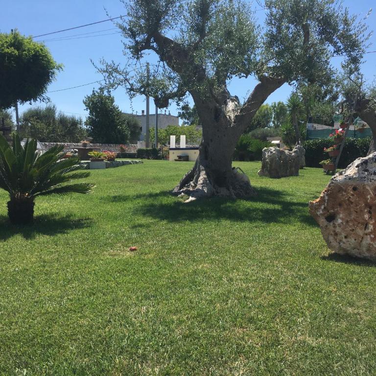 B&B Villa Grassi - Appartamento con 1 Camera da Letto - 31