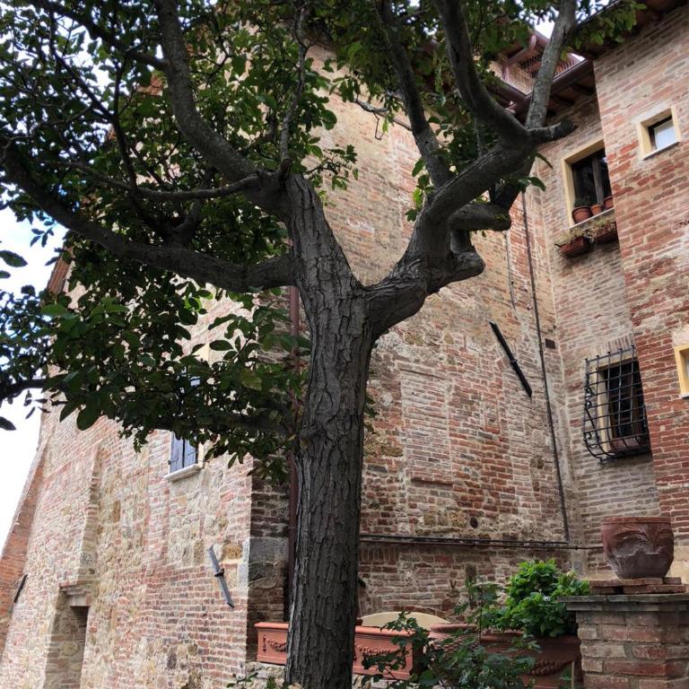 Torre alle Antiche Mura - Camera Matrimoniale con Bagno Privato - 2