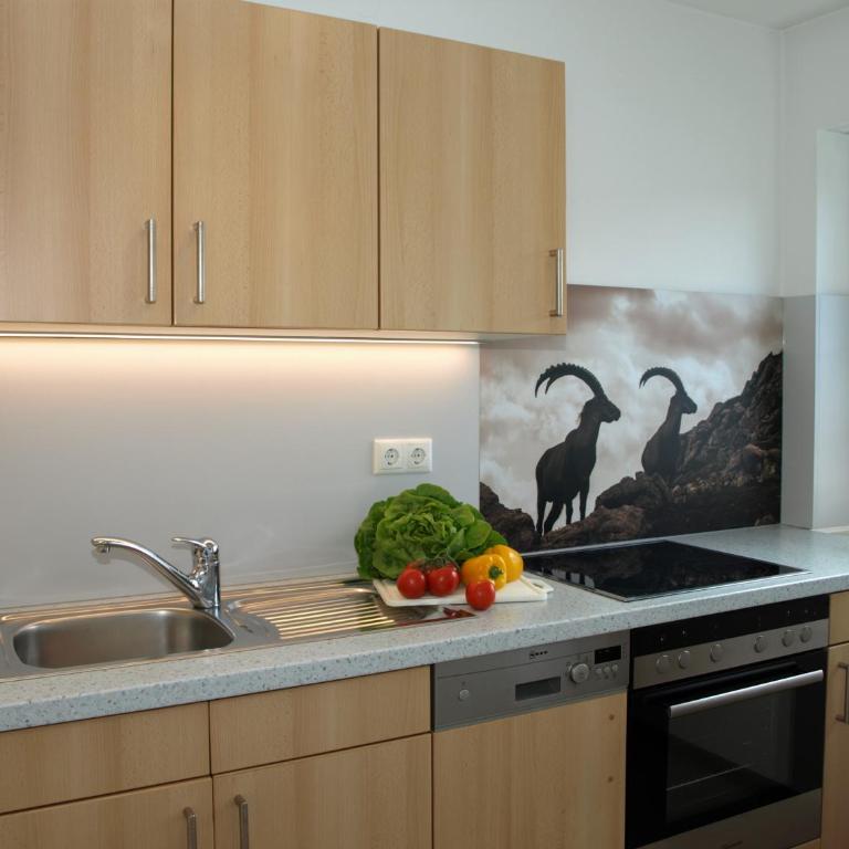 Alpenflair Ferienwohnungen Whg 224 Söllerblick - Apartment mit 1 Schlafzimmer - 3