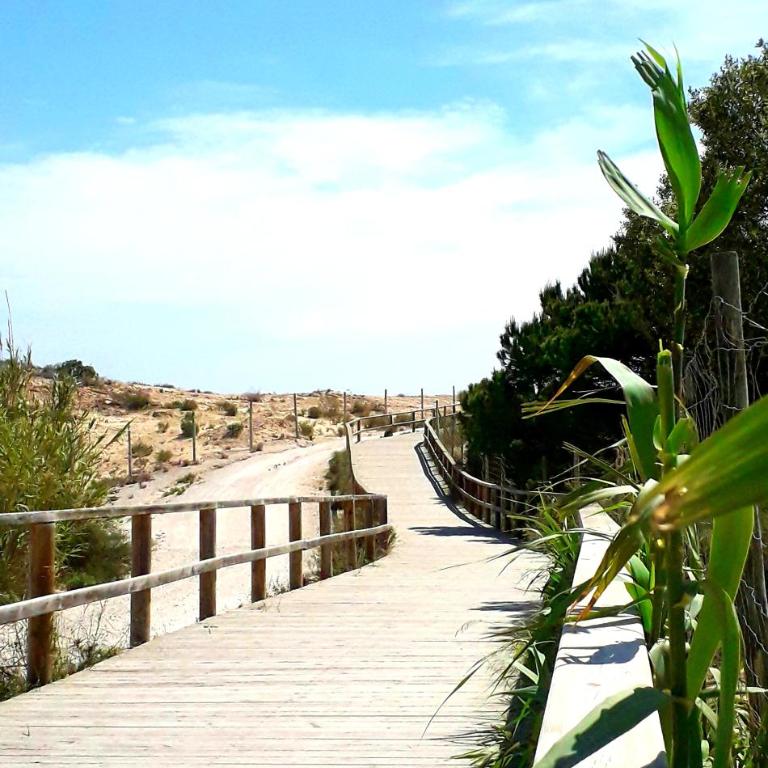 La Morada (Gran Alacant) - Two-Bedroom House - 36