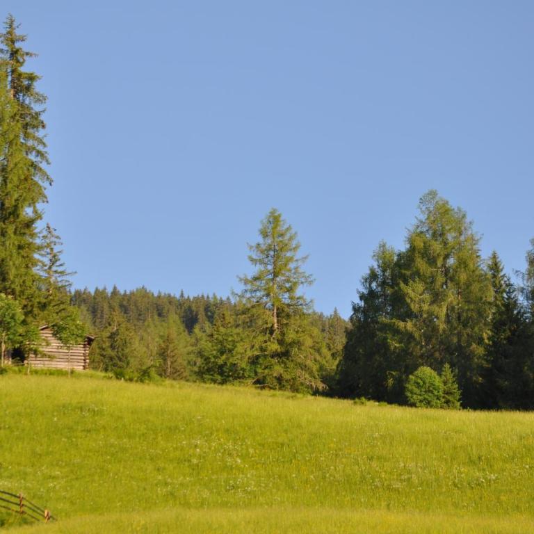 DAS "ZwisleggGut" - Haus mit 2 Schlafzimmern - 36